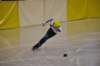 dsc_0229_small.jpg