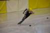 dsc_0231_small.jpg