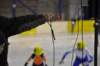 dsc_0246_small.jpg