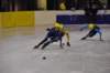 dsc_0290_small.jpg
