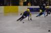 dsc_0291_small.jpg