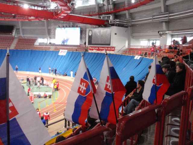 p3080005.jpg