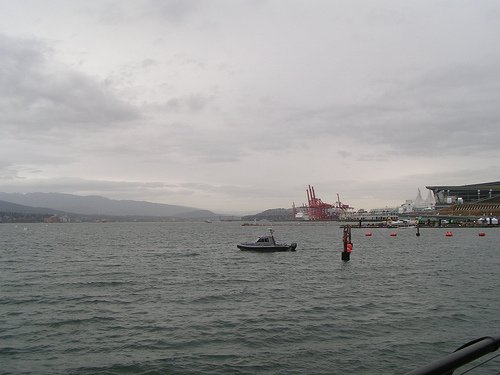 _26167f5701.jpg