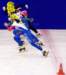 europacupfinalbrasov2012_44_small.jpg
